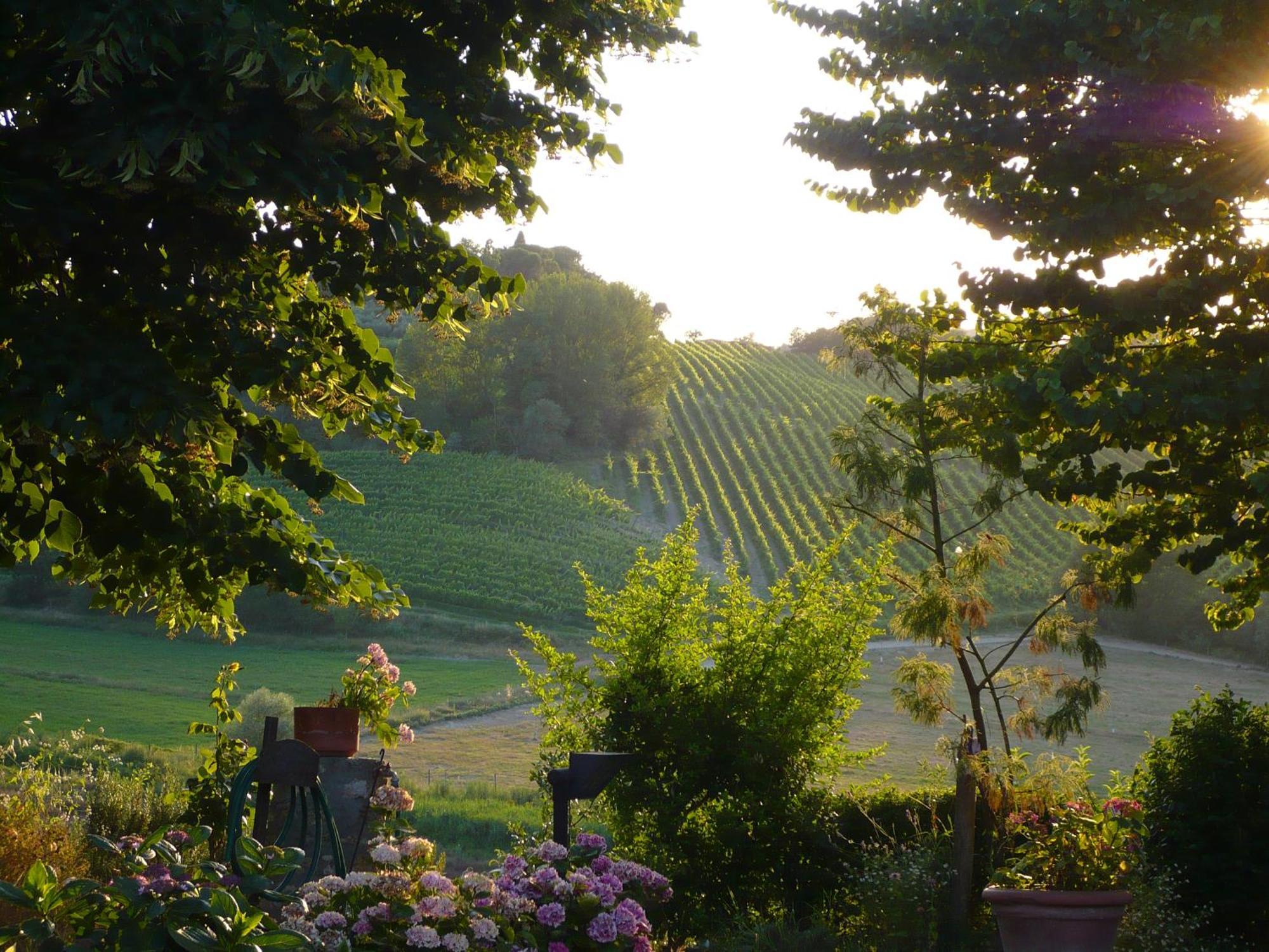 Podere Sionne Chiusi Exteriör bild