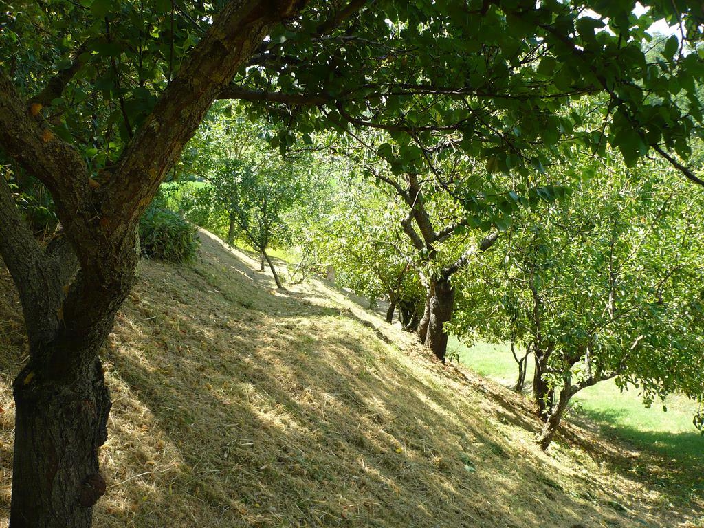 Podere Sionne Chiusi Exteriör bild